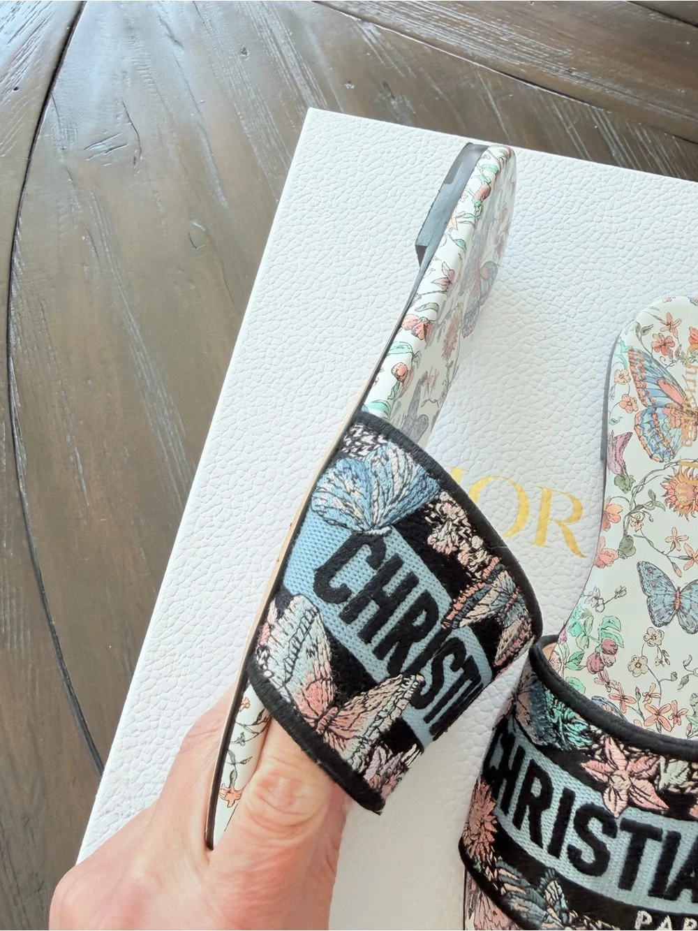 Dior Butterfly Sandal Slides